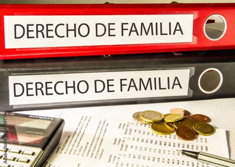 derecho de familia binder