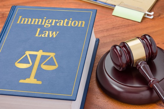 immkigration law_editr 90603768